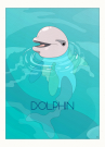 Dolphin-01.png
