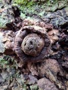 20251206_151340.jpg 20251206_151340.jpg