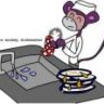 Purple Monkey Dishwasher